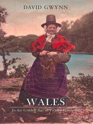 cover image of Wales In the Golden Age of Picture Postcards